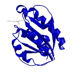 Image of CATH 1czn