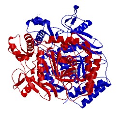 Image of CATH 1d0c