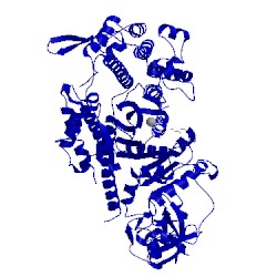 Image of CATH 1d0y