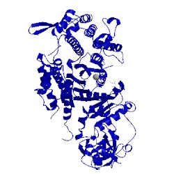 Image of CATH 1d1a