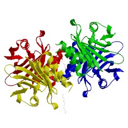 Image of CATH 1d1j