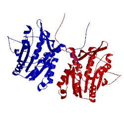 Image of CATH 1d2g