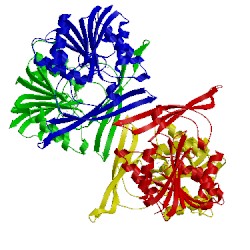 Image of CATH 1d2h