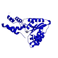 Image of CATH 1d2n