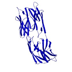 Image of CATH 1d2p