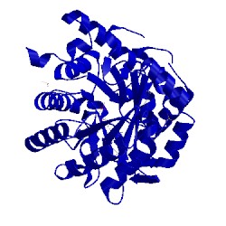 Image of CATH 1d3h