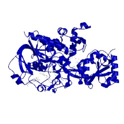 Image of CATH 1d4e