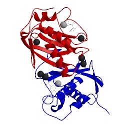Image of CATH 1d5j