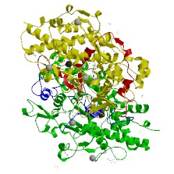 Image of CATH 1d7w