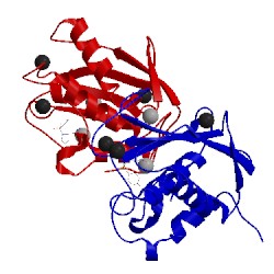 Image of CATH 1d7x