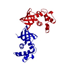 Image of CATH 1d8l