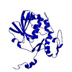 Image of CATH 1d8v