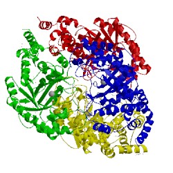 Image of CATH 1d8w