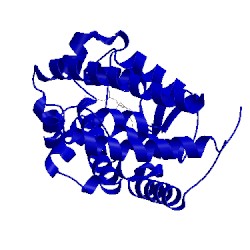 Image of CATH 1db1