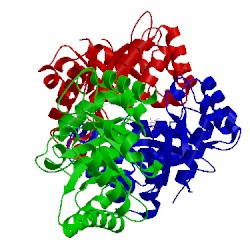 Image of CATH 1dbt