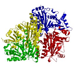 Image of CATH 1dbz