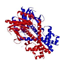 Image of CATH 1dc1