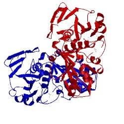 Image of CATH 1dc4