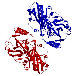 Image of CATH 1dc5