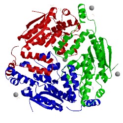 Image of CATH 1dci