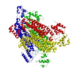 Image of CATH 1dcn