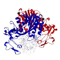 Image of CATH 1dct