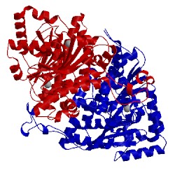 Image of CATH 1ddz