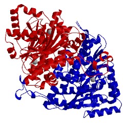 Image of CATH 1ddz