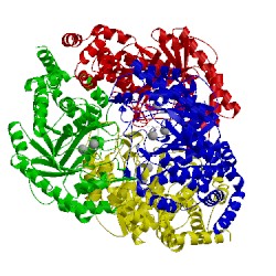 Image of CATH 1de6