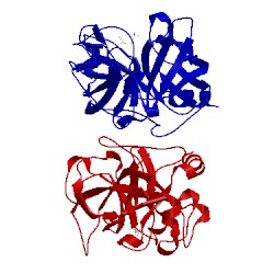 Image of CATH 1dfp