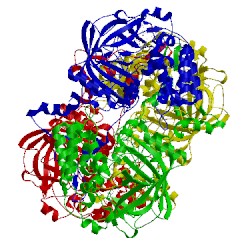 Image of CATH 1dgf