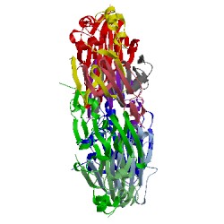 Image of CATH 1dgr