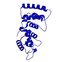 Image of CATH 1dgv