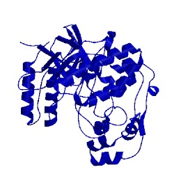 Image of CATH 1di9