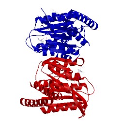 Image of CATH 1dia