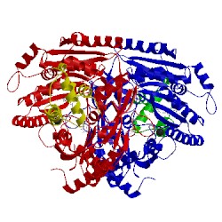 Image of CATH 1diq