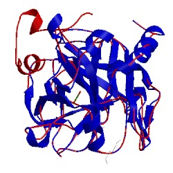 Image of CATH 1dit
