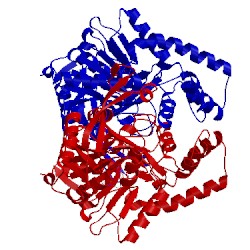 Image of CATH 1dj3