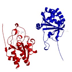 Image of CATH 1djl