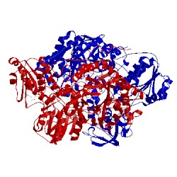 Image of CATH 1djn