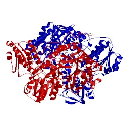 Image of CATH 1djq