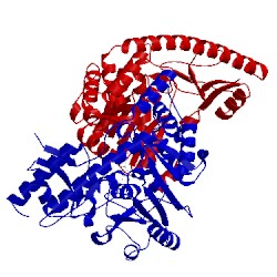 Image of CATH 1dju