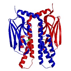 Image of CATH 1dky