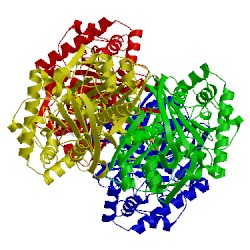 Image of CATH 1dlu