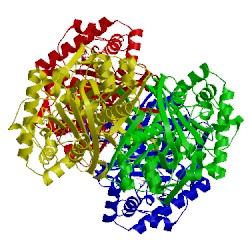 Image of CATH 1dlv