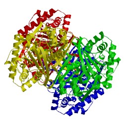 Image of CATH 1dm3