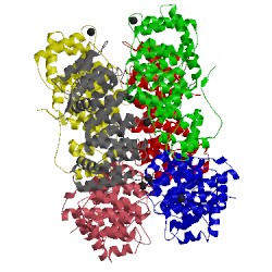 Image of CATH 1dm5