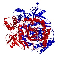 Image of CATH 1dm6