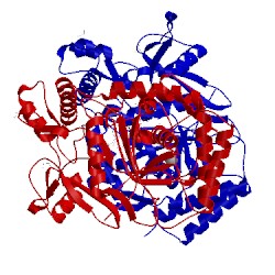 Image of CATH 1dm7