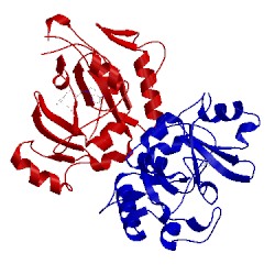 Image of CATH 1dma